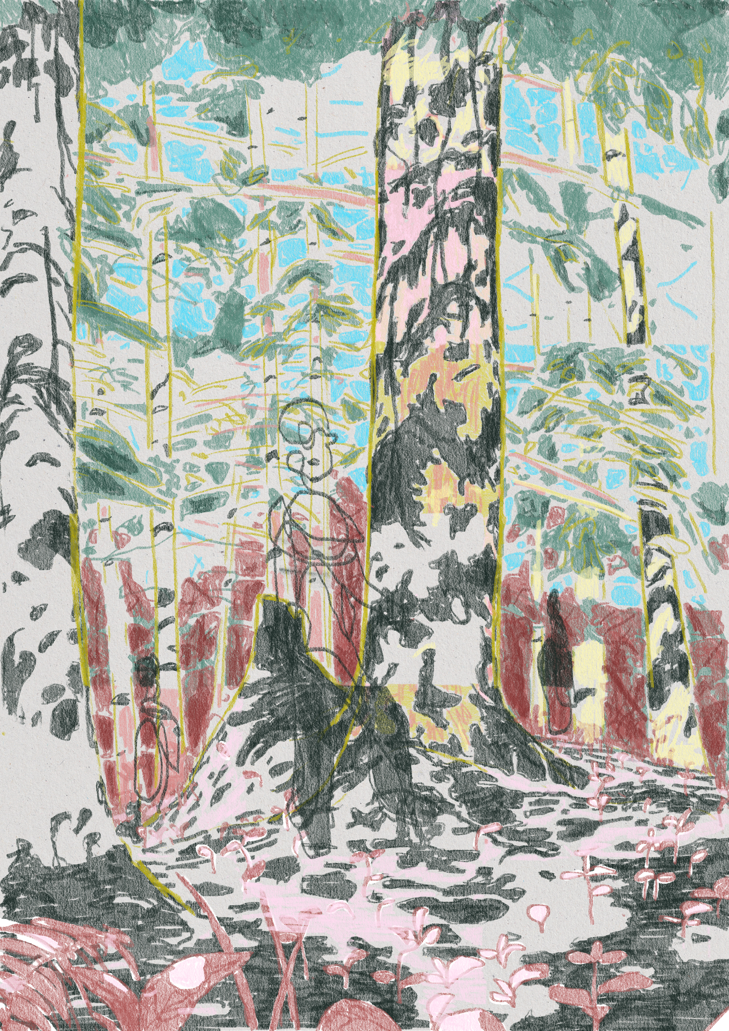 Imaginaires environnementaux p.15